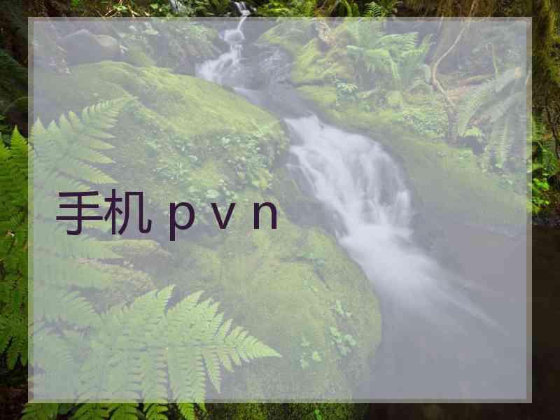 手机 p v n