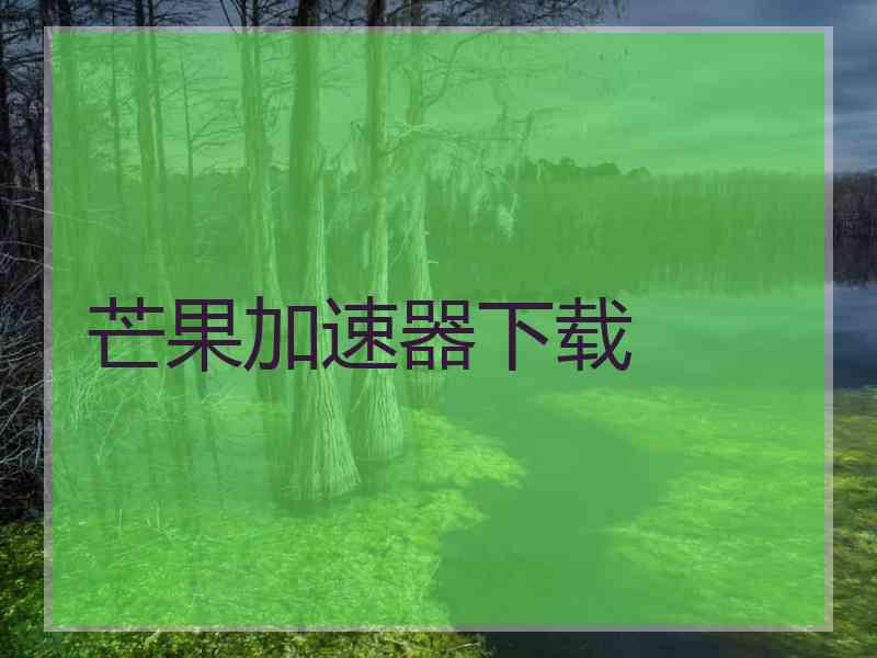 芒果加速器下载