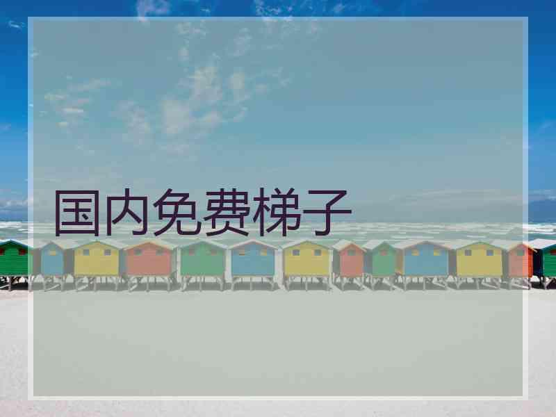 国内免费梯子
