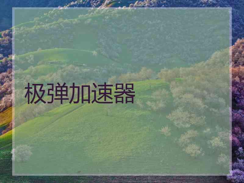极弹加速器
