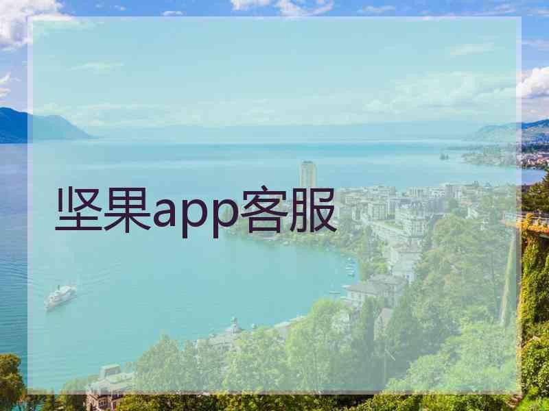坚果app客服