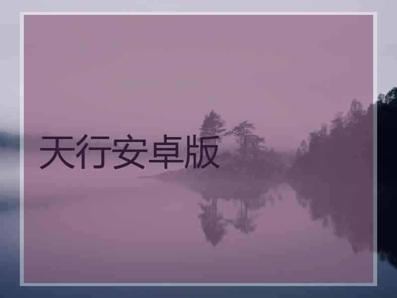 天行安卓版