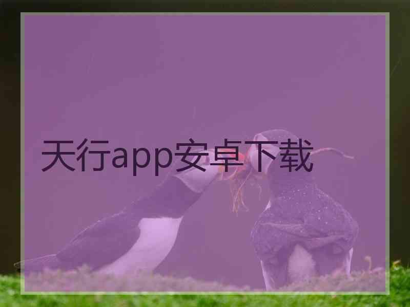 天行app安卓下载