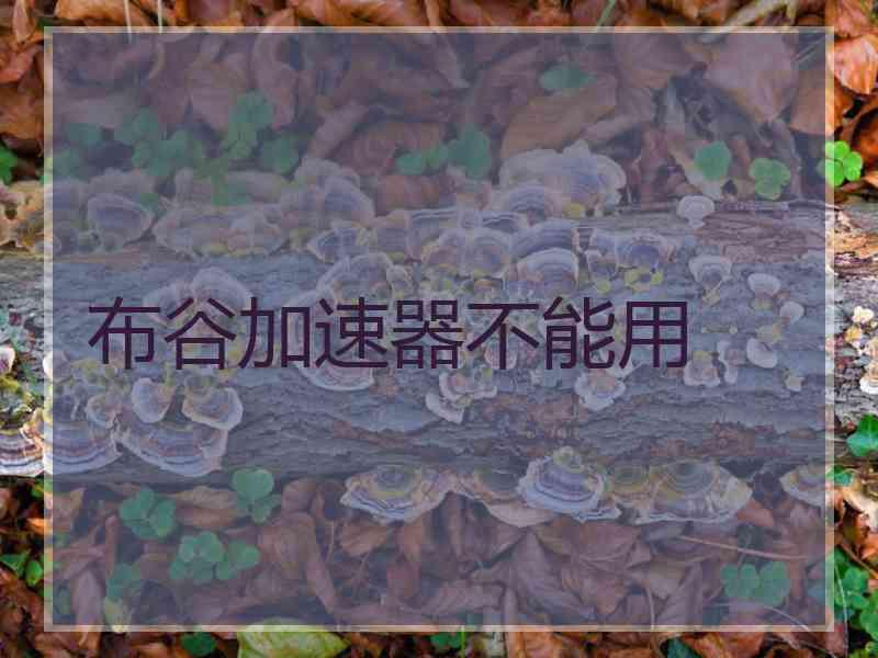 布谷加速器不能用