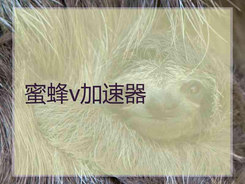 蜜蜂v加速器