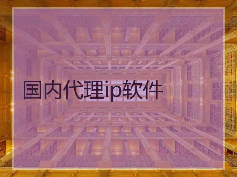 国内代理ip软件