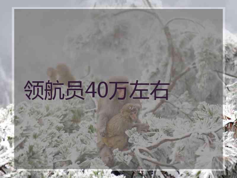 领航员40万左右