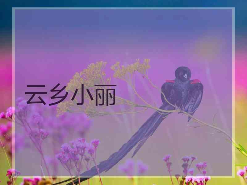 云乡小丽