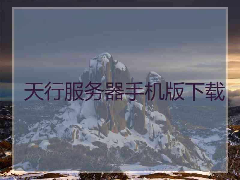 天行服务器手机版下载