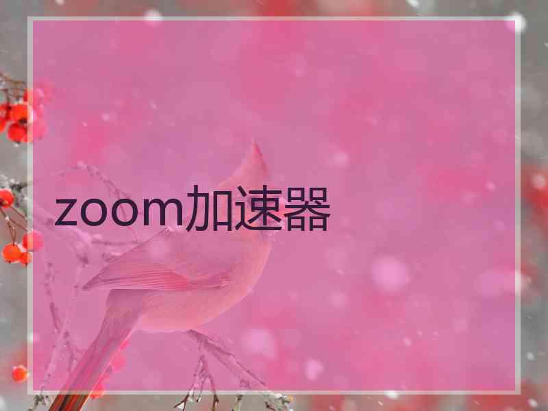 zoom加速器