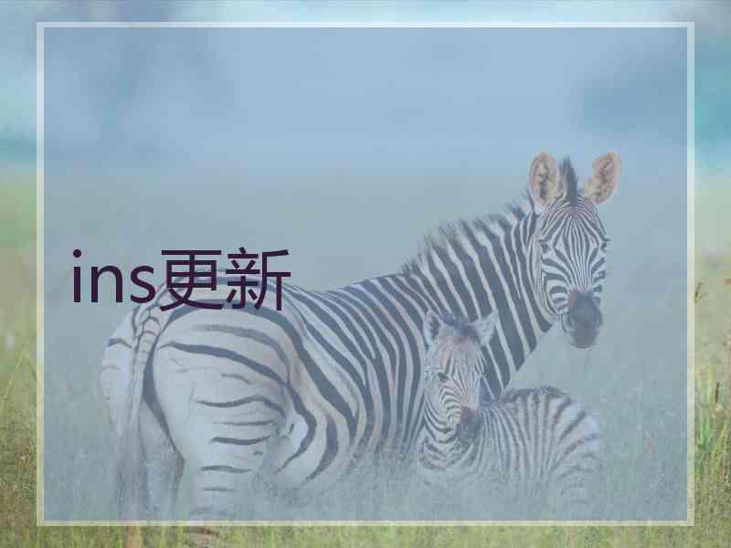 ins更新