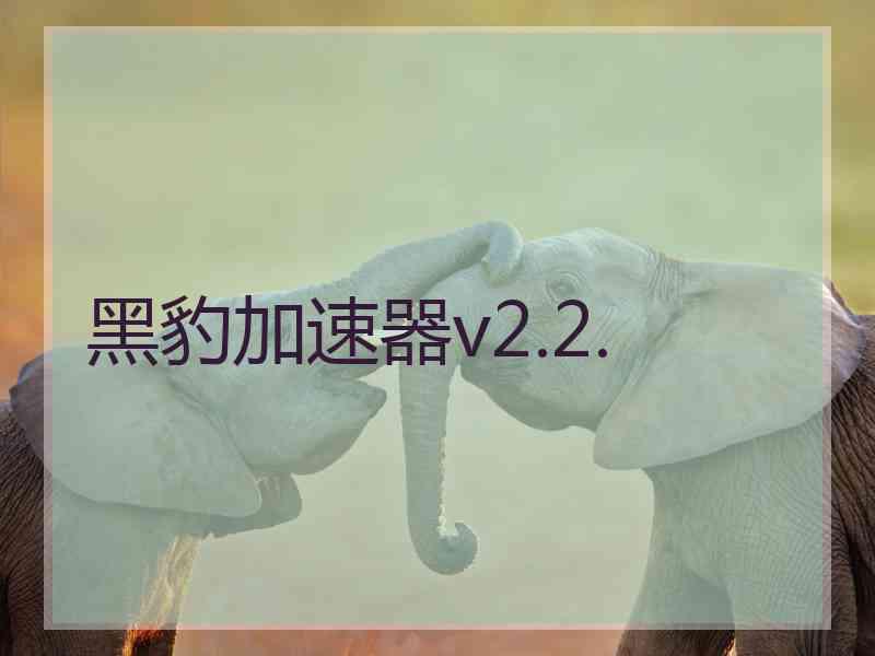 黑豹加速器v2.2.