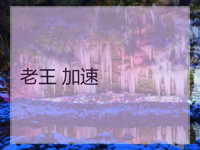 老王 加速