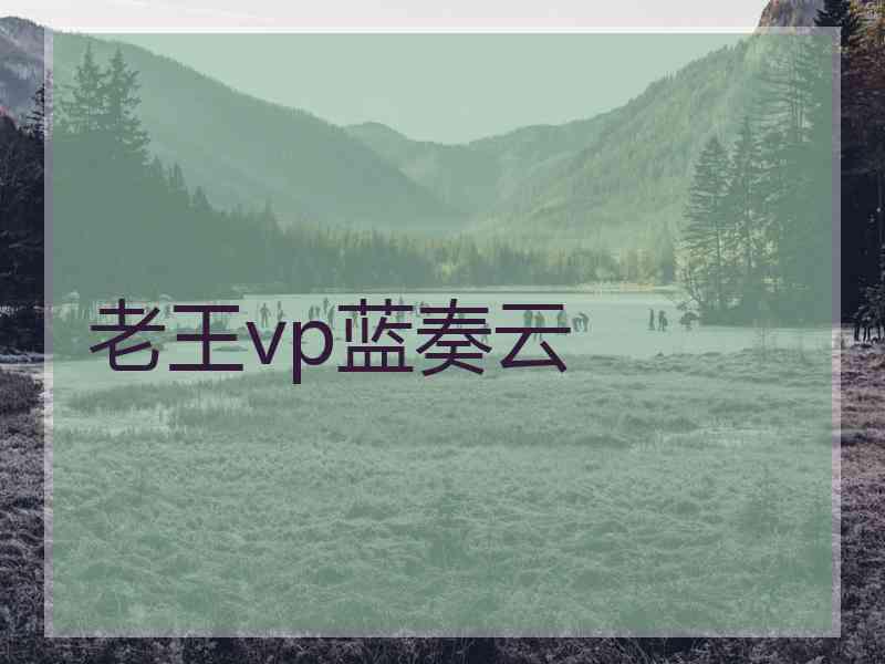 老王vp蓝奏云