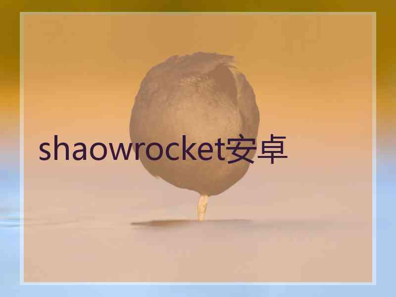 shaowrocket安卓
