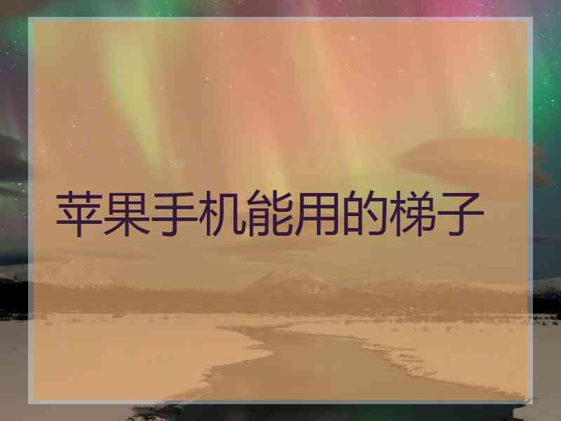 苹果手机能用的梯子