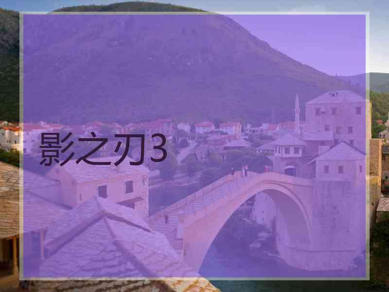 影之刃3