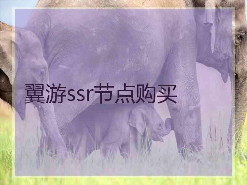 翼游ssr节点购买