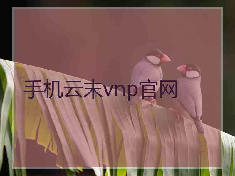 手机云末vnp官网