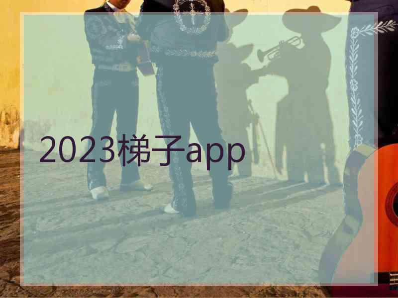 2023梯子app