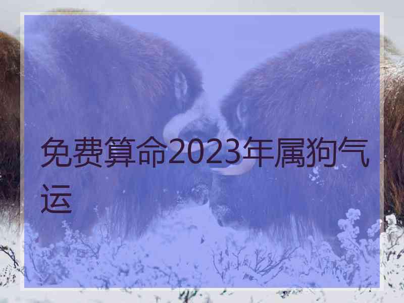 免费算命2023年属狗气运