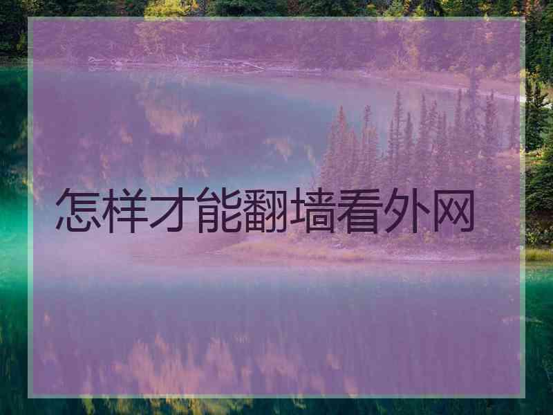 怎样才能翻墙看外网