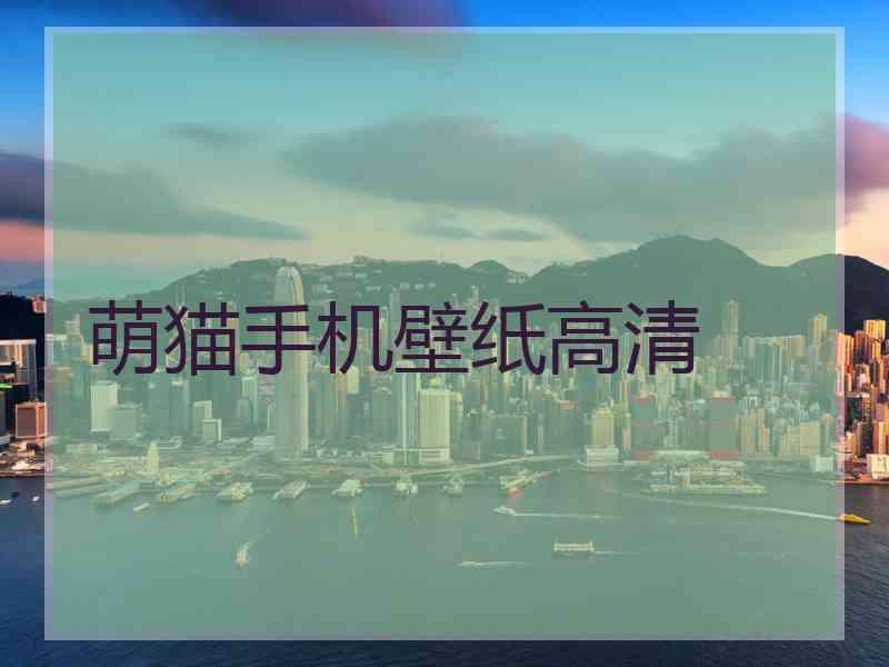 萌猫手机壁纸高清