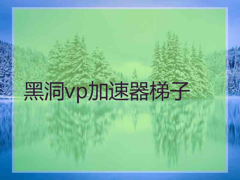 黑洞vp加速器梯子