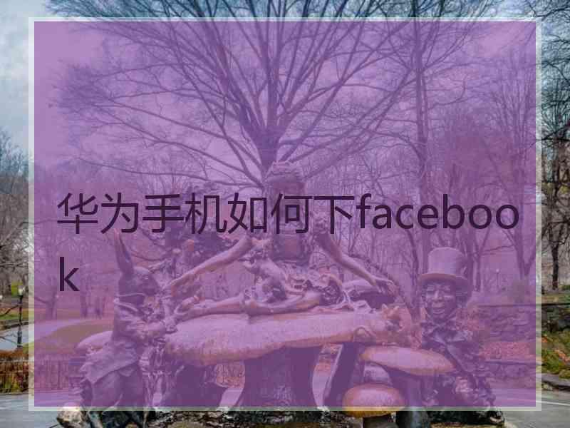 华为手机如何下facebook