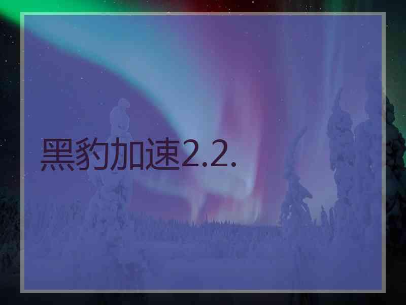 黑豹加速2.2.
