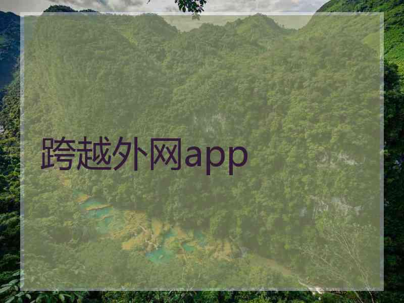 跨越外网app