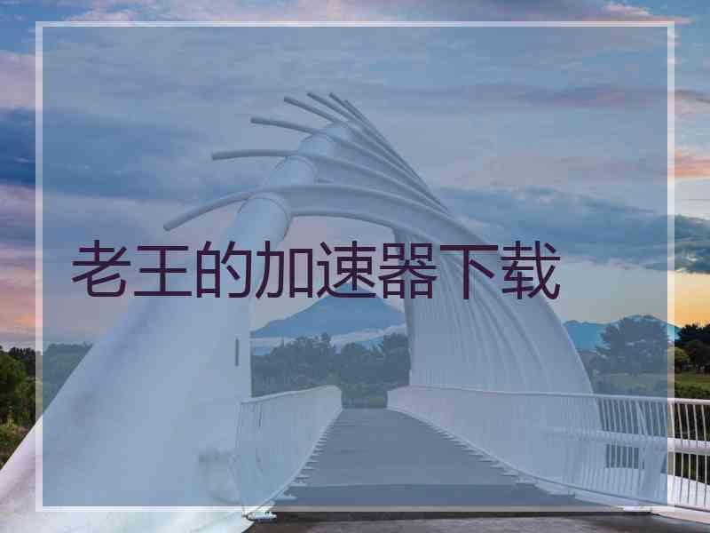 老王的加速器下载