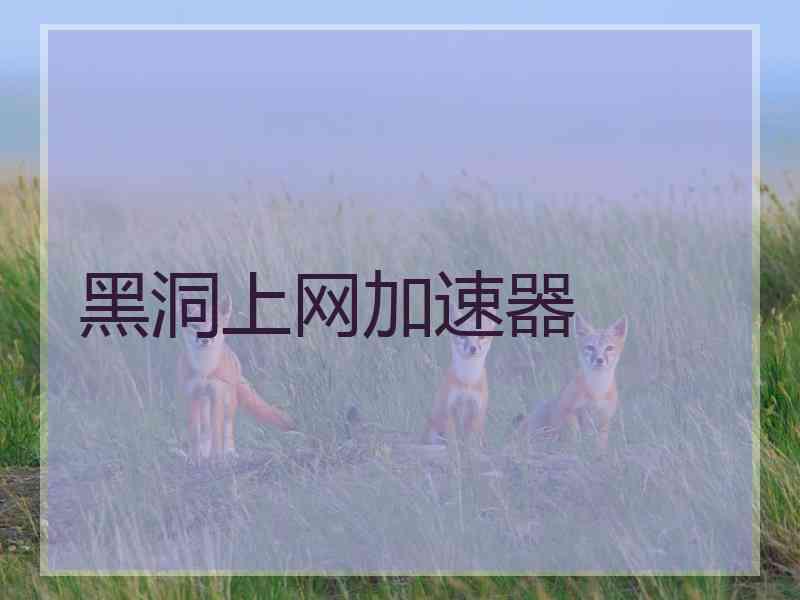 黑洞上网加速器