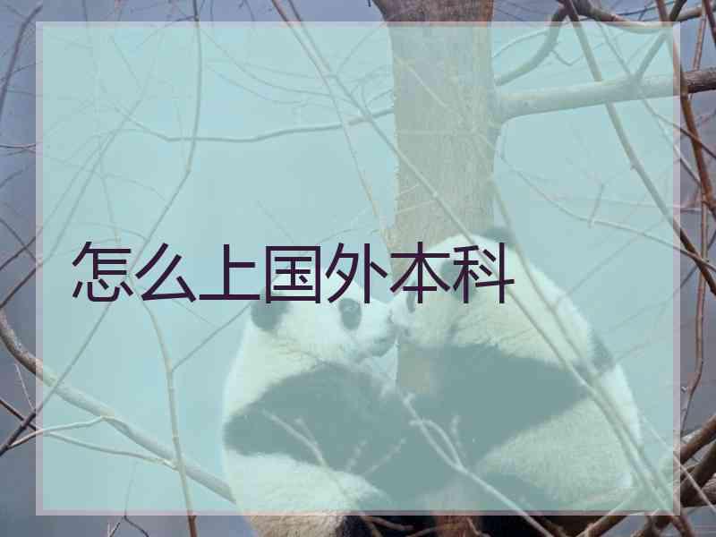 怎么上国外本科