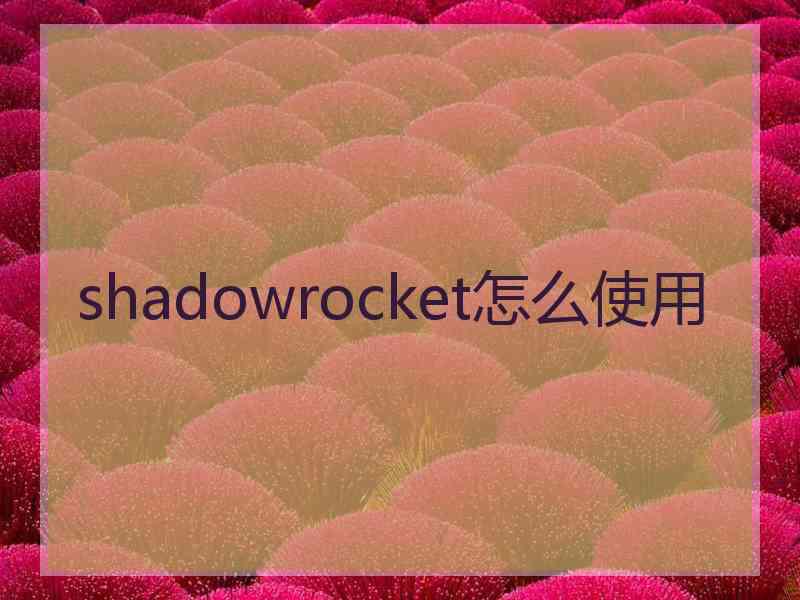 shadowrocket怎么使用