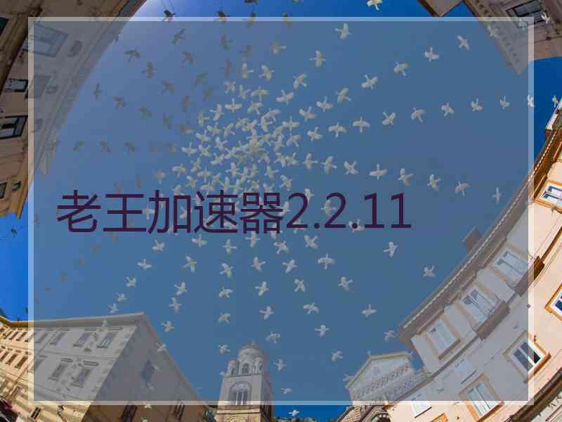 老王加速器2.2.11