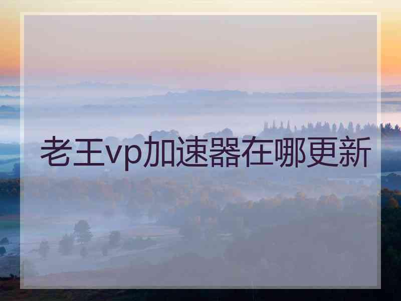 老王vp加速器在哪更新