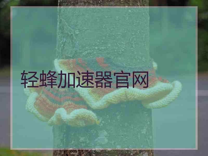 轻蜂加速器官网