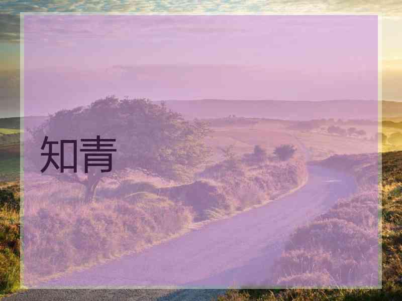 知青