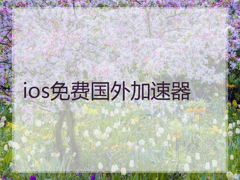ios免费国外加速器
