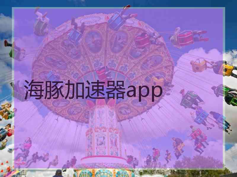 海豚加速器app