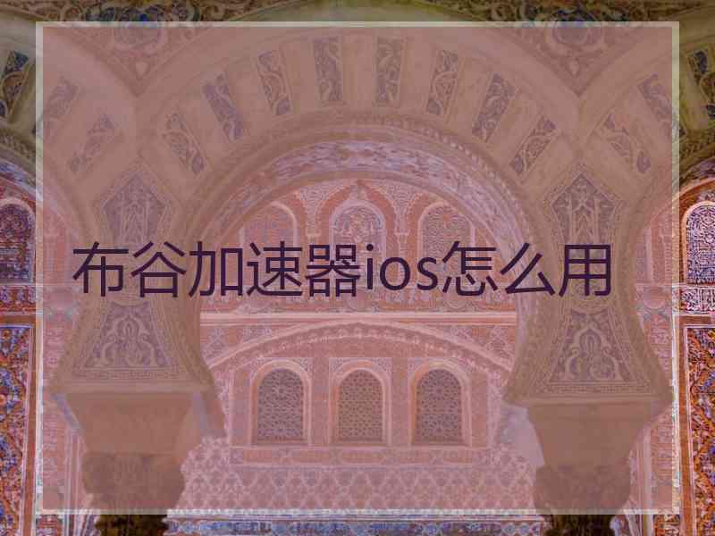布谷加速器ios怎么用