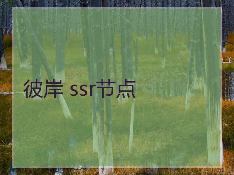 彼岸 ssr节点