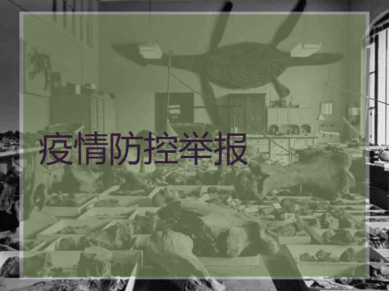 疫情防控举报