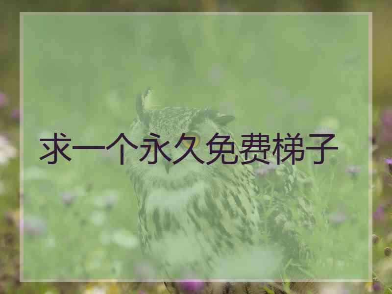 求一个永久免费梯子