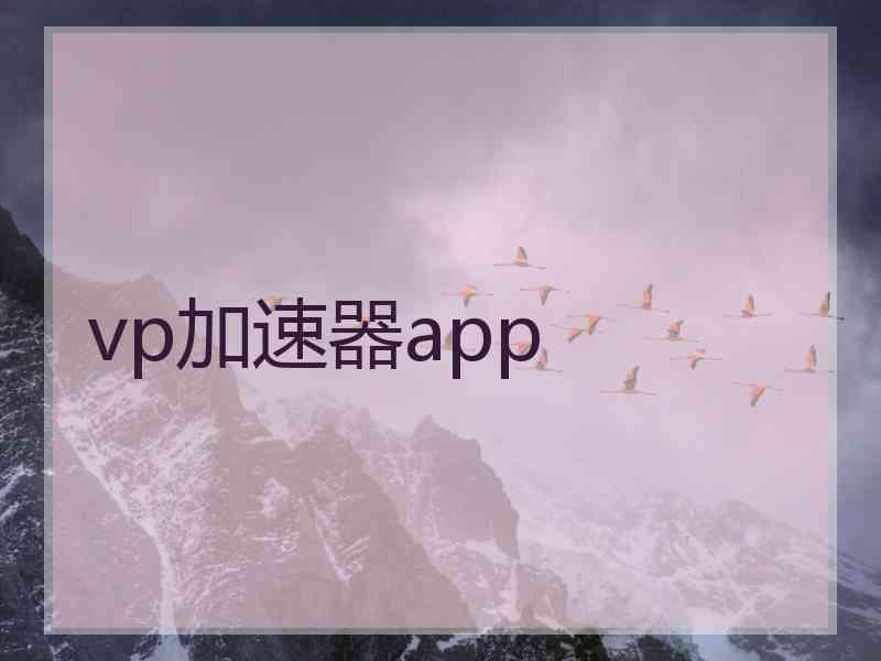 vp加速器app