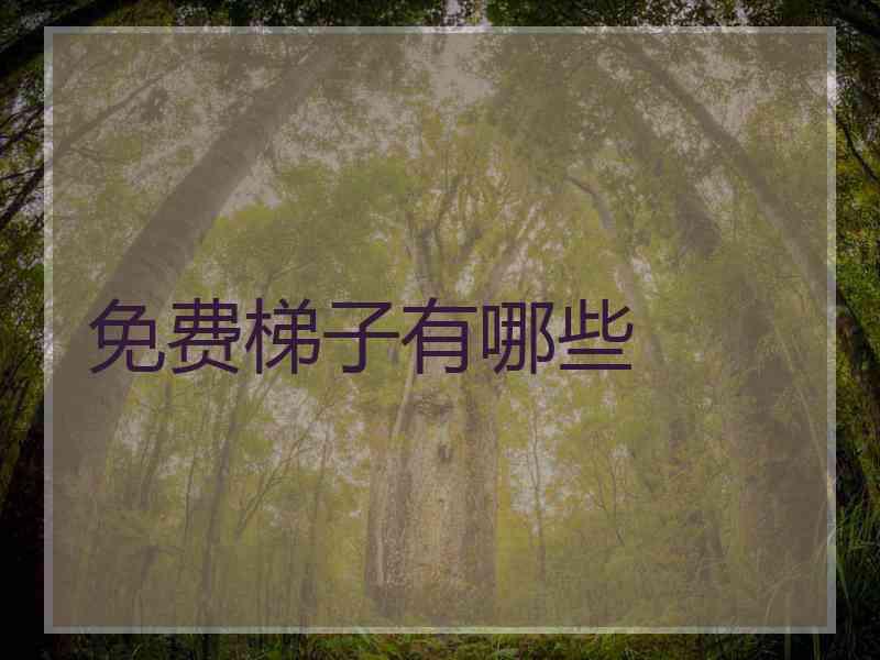 免费梯子有哪些