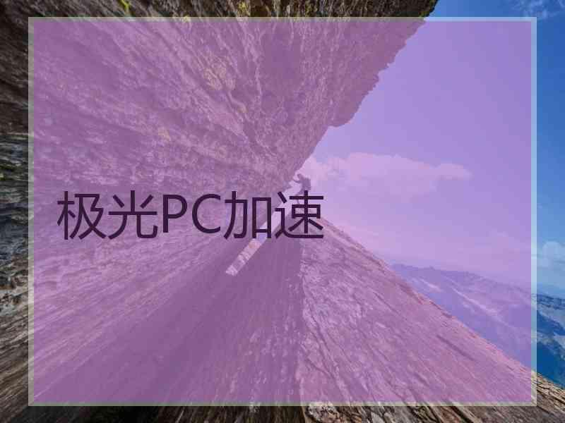 极光PC加速