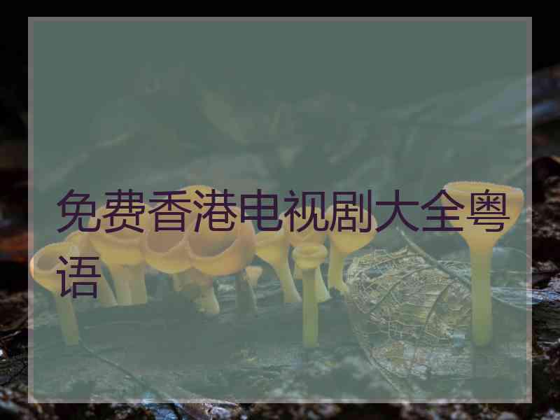 免费香港电视剧大全粤语