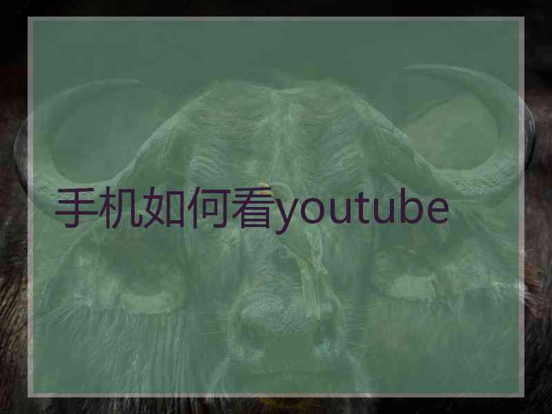 手机如何看youtube